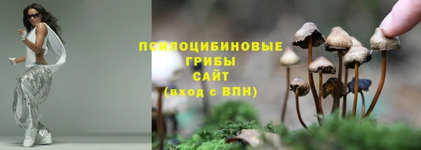 mdma Елизово