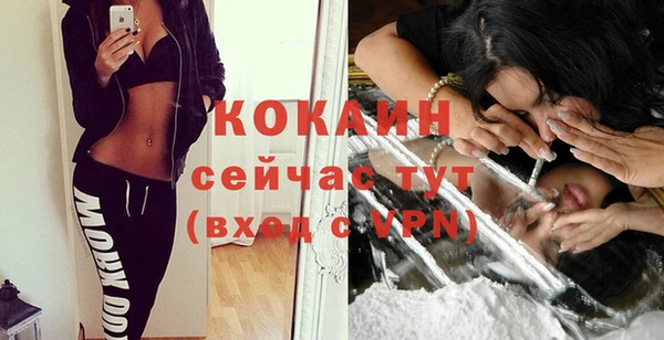 первитин Ельня